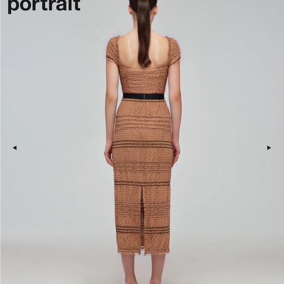 Tan Dot Mesh Shirred Midi Dress - Picture 3 of 3